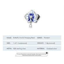 Charm Butterfly Orchid