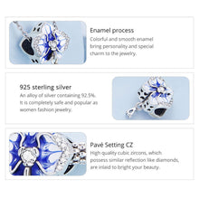 Charm Butterfly Orchid