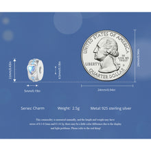 Fantasy fairy tale Charm