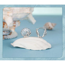 Shell Earrings
