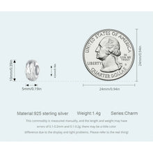 Stopper Charm Feathers