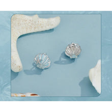 Shell Earrings