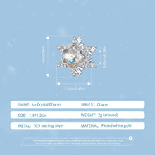 Ice Crystal Charm