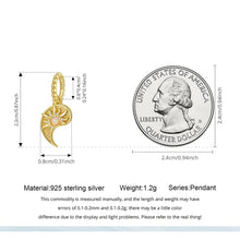 Taiji Bagua Sun Pendant