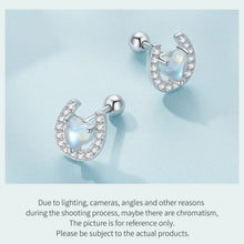 Lucky Horseshoe Stud Earrings