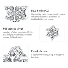 Shiny Snowflakes Beads