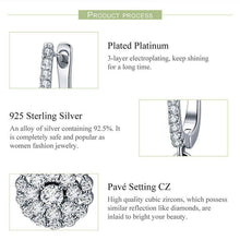 Round Earrings With Zircon