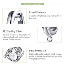 Round Earrings Zircon