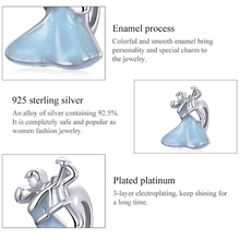 Charm Cinderella and Prince