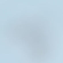 Dreamcatcher Earrings