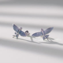 Flying Fish Stud Earrings