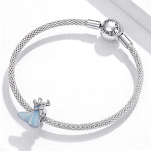 Charm Cinderella and Prince