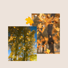 Autumn Statement Earrings