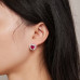 Ruby Zircon Heart Earrings 