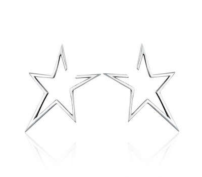 Delicate star earrings