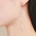Long earrings 