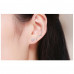 Beautiful zircon earrings