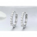 Round crystal earrings
