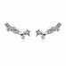 Shiny star earrings