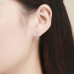 Round, clear zircon earrings