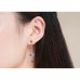 New trendy long moon and star earrings 