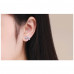 Delicate rainbow zircon earrings
